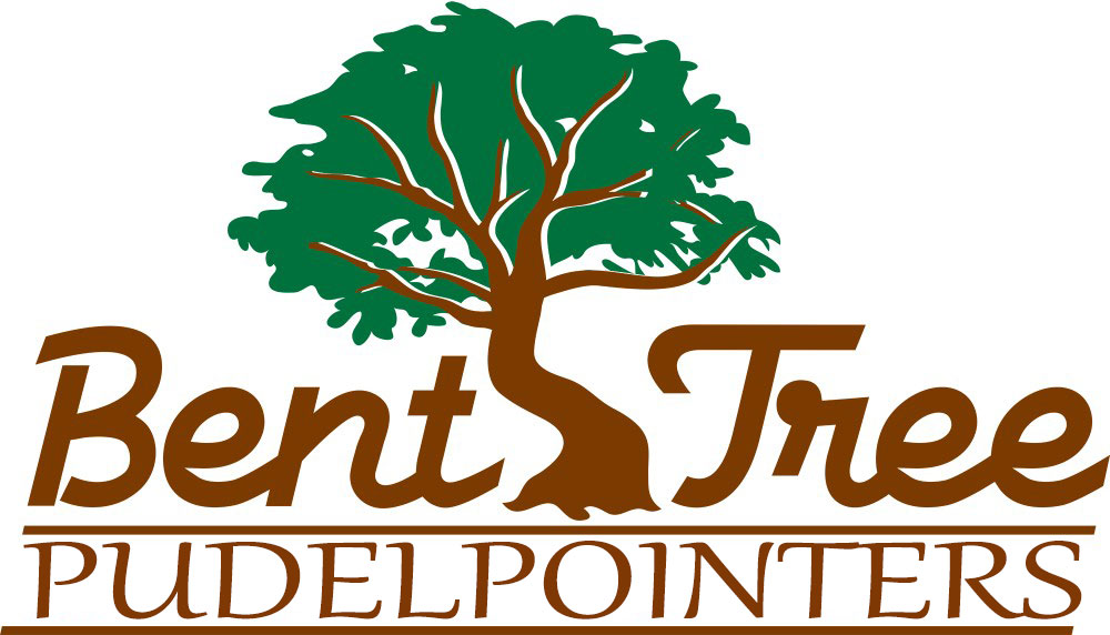 Bent Tree Pudelpointers